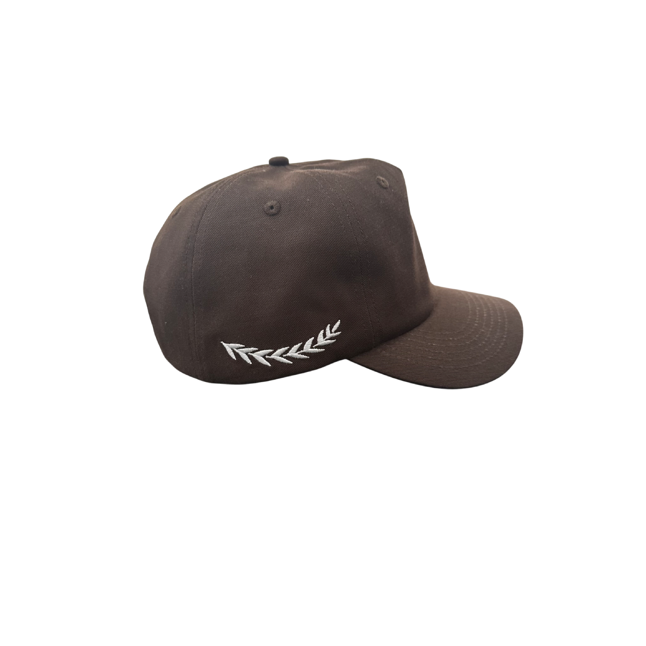 Scripture Snapback