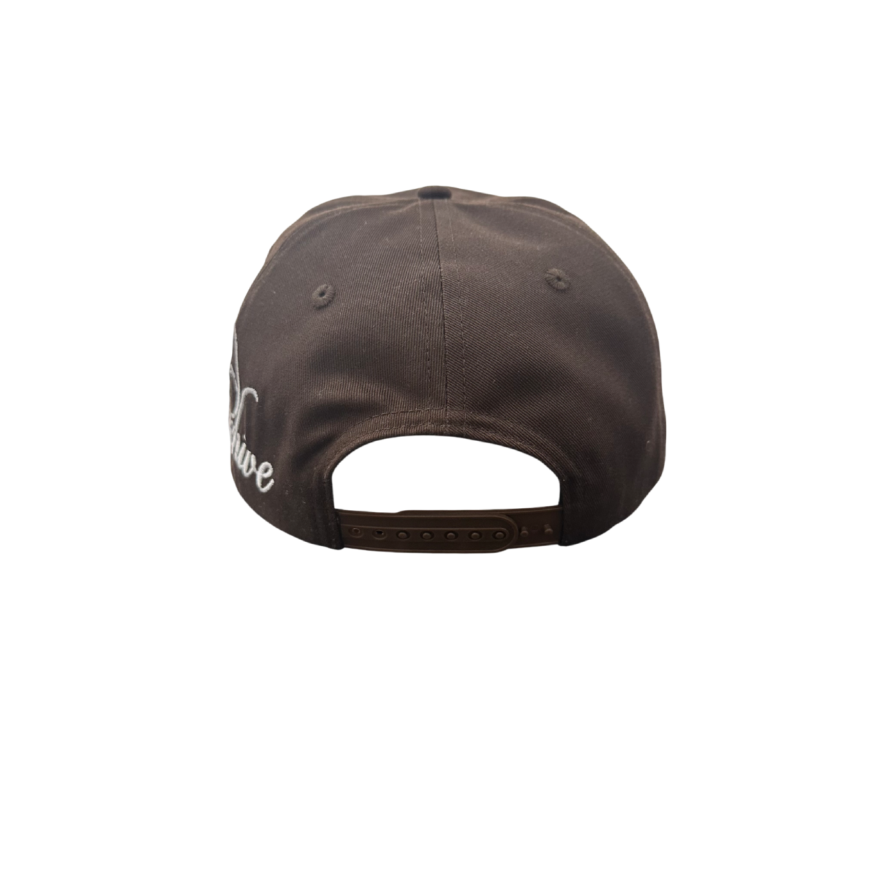 Scripture Snapback